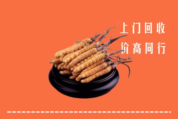 附近收购：肇庆市德庆冬虫夏草回收多少钱每克